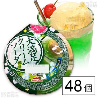 大満足クリームソーダ風味 285g