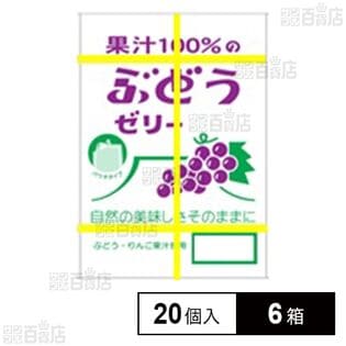 果汁100％ゼリーBOXパウチぶどう味 18g×20個入