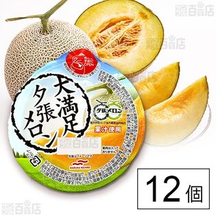 大満足夕張メロン 285g