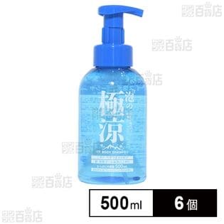 泡の極涼アイスボディーシャンプー フレッシュシトラスの香り 500ml