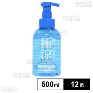 泡の極涼アイスボディーシャンプー フレッシュシトラスの香り 500ml