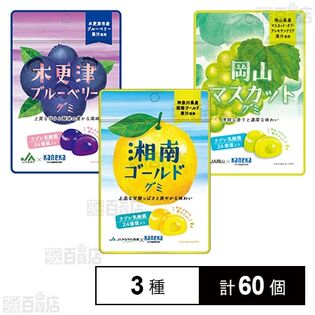 カネカ食品 ラブレ乳酸菌入りグミ 3種セット