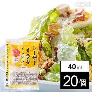 シーザーサラダ ドレッシング 40ml