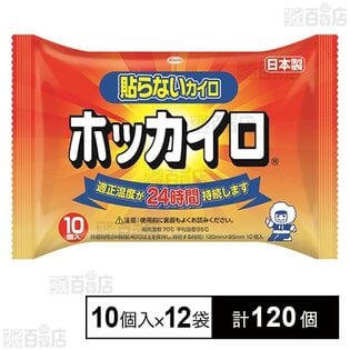 ホッカイロ 貼らない レギュラー 10個入
