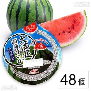 大満足国産すいかアロエ入り 280g