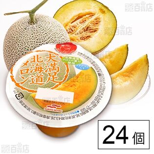 大満足北海道メロン 285g