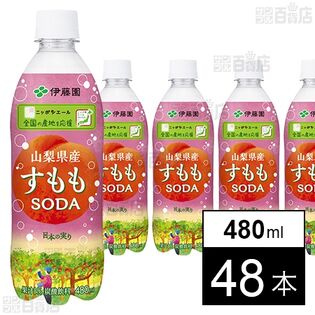 ニッポンエール 山梨県産すももソーダ PET 480ml