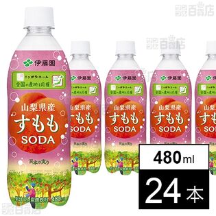 ニッポンエール 山梨県産すももソーダ PET 480ml