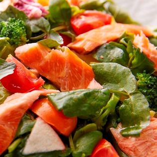 【無添加】香燻ローストサーモン 20パック（1200g）