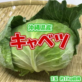 沖縄県産キャベツ　1箱（約10kg）