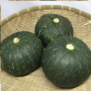沖縄県産かぼちゃ(家庭用）5kg（5~10個）