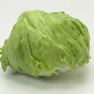 沖縄県産レタス　1箱（約6kg）(sサイズ約16個入)