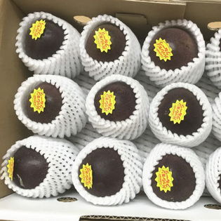 パッションフルーツ（沖縄県産）約1kg(8~14個)