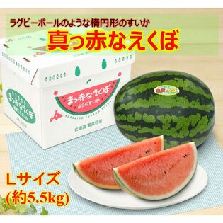 【予約受付】<7/16頃から出荷>北海道富良野産 真っ赤なえくぼすいかLサイズ