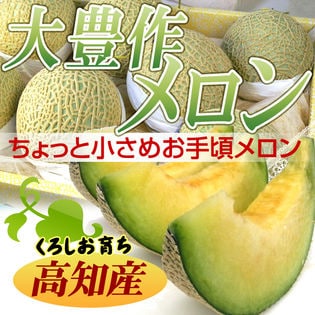 【約4kg】高知産 大豊作メロン(ご自宅用・傷あり)