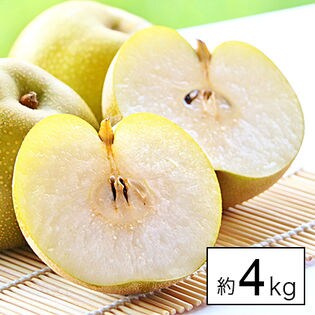 【約4kg】愛媛県産 大豊作祝い梨《個数・品種はおまかせ》(傷あり・ご自宅用)