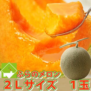 【約1.5kg（1玉）】北海道 富良野産　ふらのメロン 秀品