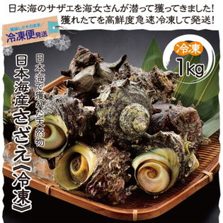 【1キロ】《冷凍便》日本海産さざえ 獲れたてサザエを高鮮度急速冷凍