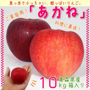 【予約】9/12~順次発送　青森県産あかねりんご　10kgご家庭用