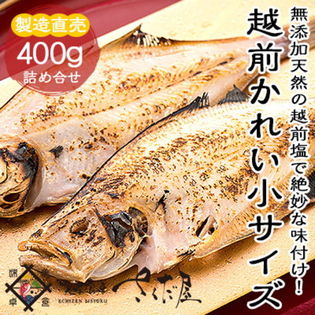 400g 7 11尾 冷便 ミニサイズ越前かれい一塩干し 干物一夜干し越前がれい赤カレイを税込 送料込でお試し サンプル百貨店 美味食卓さくだ屋