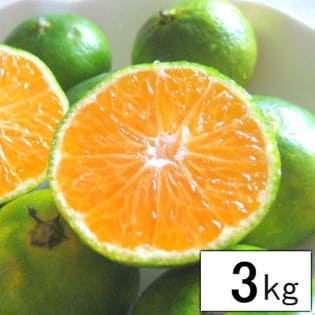【約3kg】 愛媛県産 極早生みかん(ご自宅用、傷あり)