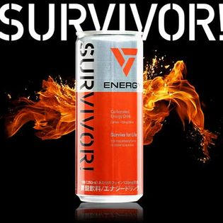 250ml 30本 Survivor サバイバー エナジードリンクを税込 送料込でお試し サンプル百貨店 F Nbストア