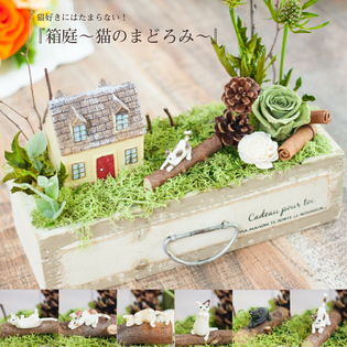 プリザーブドフラワー 箱庭 猫のまどろみ 誕生日 新築祝い 開店祝い プレゼント ギフト 贈り物を税込 送料込でお試し サンプル百貨店 プリザーブドフラワー Ruplan 有限会社花千代