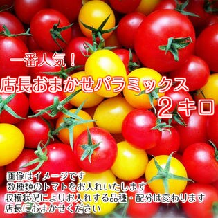 【2kg】産地直送もぎたて 静岡県産ミニトマト(店長おまかせバラミックス)