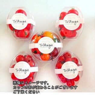 【5カップセット】産地直送もぎたて 静岡県産ミニトマト