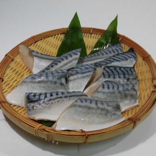 【70g ×10切入】 骨無し 塩さば 冷凍 真空パック 焼き魚 煮魚  介護食