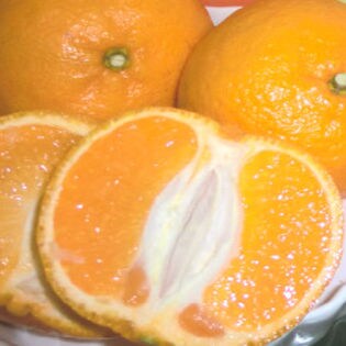 【3kg】「早香(はやか)」みかん（温州みかんとポンカンの配合）※約15ー25玉程度