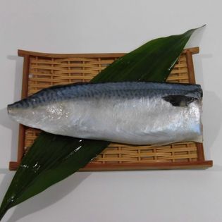 【1枚】静岡県 焼津産 塩さばフィレ 1枚 冷凍 真空パック