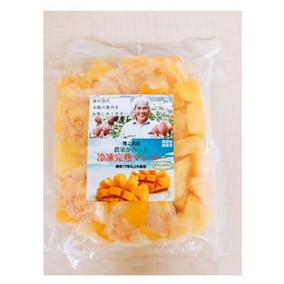 【500g ×2個セット】徳之島産　冷凍カットマンゴー