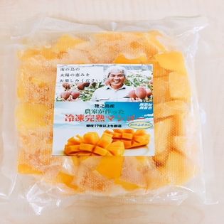 【500g×2袋セット】徳之島産　冷凍カットマンゴー