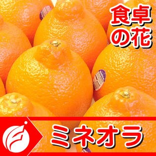 「予約受付」ミネオラオレンジ5kg入り