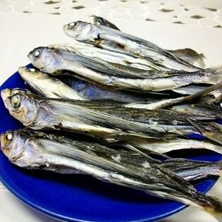 【500g】長崎県産 あご煮干し(トビウオ)