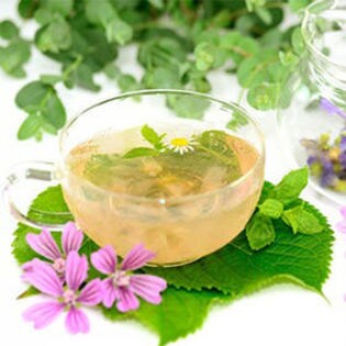 ハーブ アロマセラピーアドバイザー認定講師 ペットアロマ通信講座を税込 送料込でお試し サンプル百貨店 Soeur