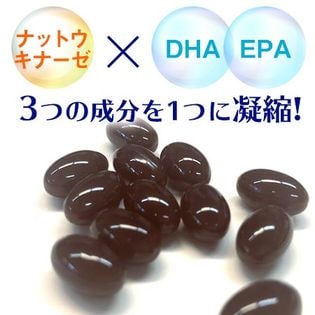 小林製薬 ナットウキナーゼ EPA DHA 約３０日分 ３０粒×２０袋セット