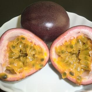 予約受付 6 10 順次出荷 約1kg 950 1kg 無農薬 パッションフルーツを税込 送料込でお試し サンプル百貨店 大丸実業有限会社 ダイマルファーム