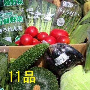 むつみ屋 旬の有機野菜セット 11品