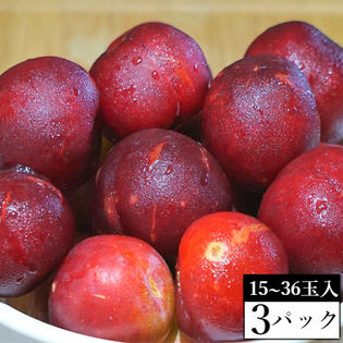 【3パック】愛媛産 完熟すもも(プラム)(ご家庭用・傷あり)