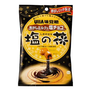 塩の花 焦がしミルクと塩チョコ 4個
