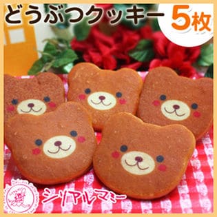 動物アニマルクッキー 5枚セット クマ を税込 送料込でお試し サンプル百貨店 シリアルマミー