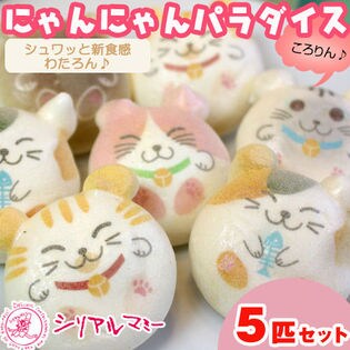 【ころりんアニマル】お家BOXに入った♪にゃんにゃんパラダイス5匹セット