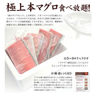 約1kg 6 9サク 本マグロ極上中トロ 本鮪中トロセット1kg を税込 送料込でお試し サンプル百貨店 まぐろ処 一条