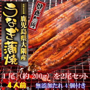 【約400g(約200g×2)無添加 健康自鰻】鹿児島県大隅産 うなぎ蒲焼 特製たれ付