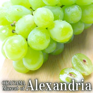 【600g×1房】岡山県産 マスカット オブ アレキサンドリア ぶどう 秀品