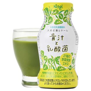 ＜12本×2ケース 計24本＞乳酸菌飲料 ノーベル  青汁と乳酸菌 95g  産地直送