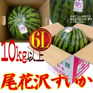 【約10kg(6L)/1玉】山形県産“尾花沢スイカ