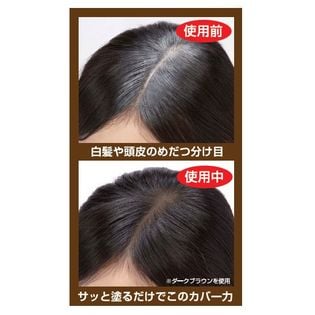 2個セット ボタニカルヘアファンデーション ダークブラウン を税込 送料込でお試し サンプル百貨店 美ス